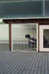 gazebo 014.jpg